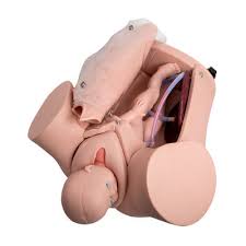 Labor and Delivery Simulator